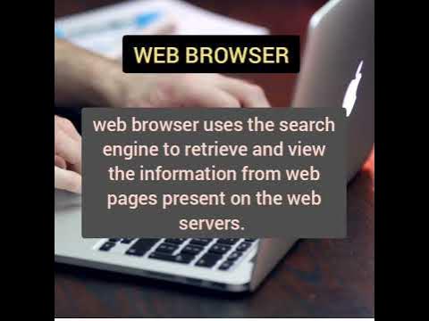 SEARCH ENGINE VS WEB BROWSER | DIFFERENCE BETWEEN SEARCH ENGINE AND WEB ...