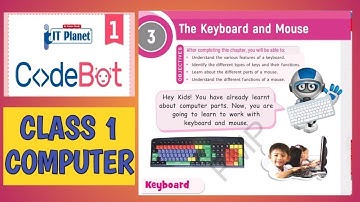 The Keyboard and Mouse | Chapter-3 Class 1 Computer #codebot #aps