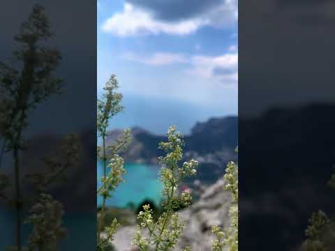 Вид на Новый Свет с вершины горы Сокол | Крым 🔥
