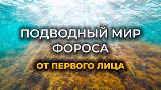 Подводный мир ФОРОСА от первого лица