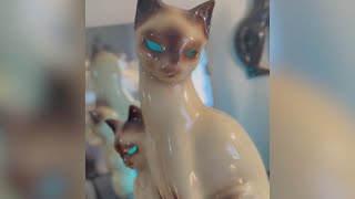 Estate Sale Reveals Cattastic Collection Of Cat Collectibles