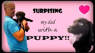 Surprising My Dad With A Puppy