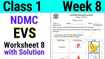 NDMC Class 1 EVS Week 8 Worksheet 8 (21/7/21) || worksheet 8 Class 1st evs week 8 solution