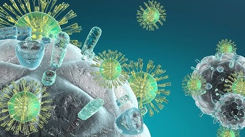 Understanding the Interactions Between Viruses and the Immune System (7 Minutes)