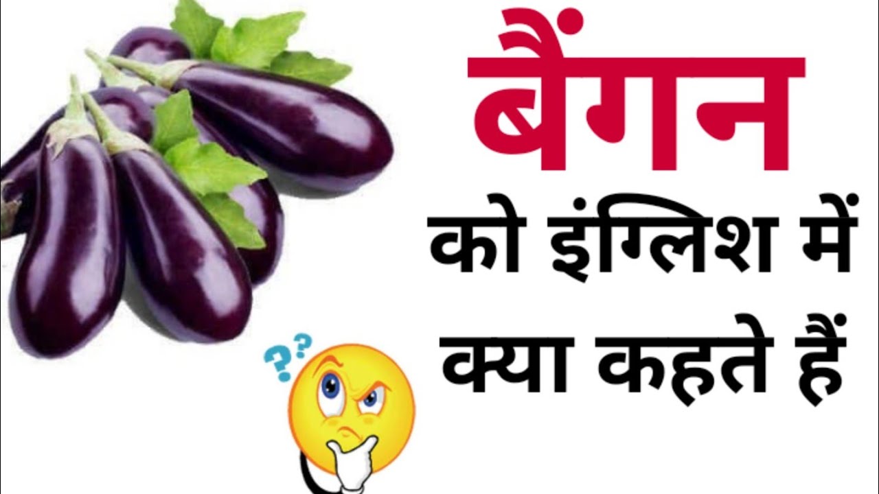 Bhanje Ko English Mein Kya Kahate Hain Baigan Ko English Mein Kya Kehte Hain - andre
