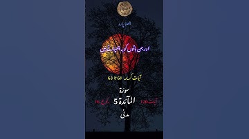 قرآن پاک اردو زبان میں سورة المائدہ آیات کریمہ 61 تا 63