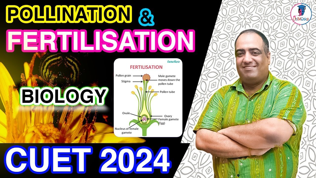 POLLINATION AND FERTILIZATION || BIOLOGY DOMAIN || CUET 2024 |#cuet2024 #cuet #cuetexam