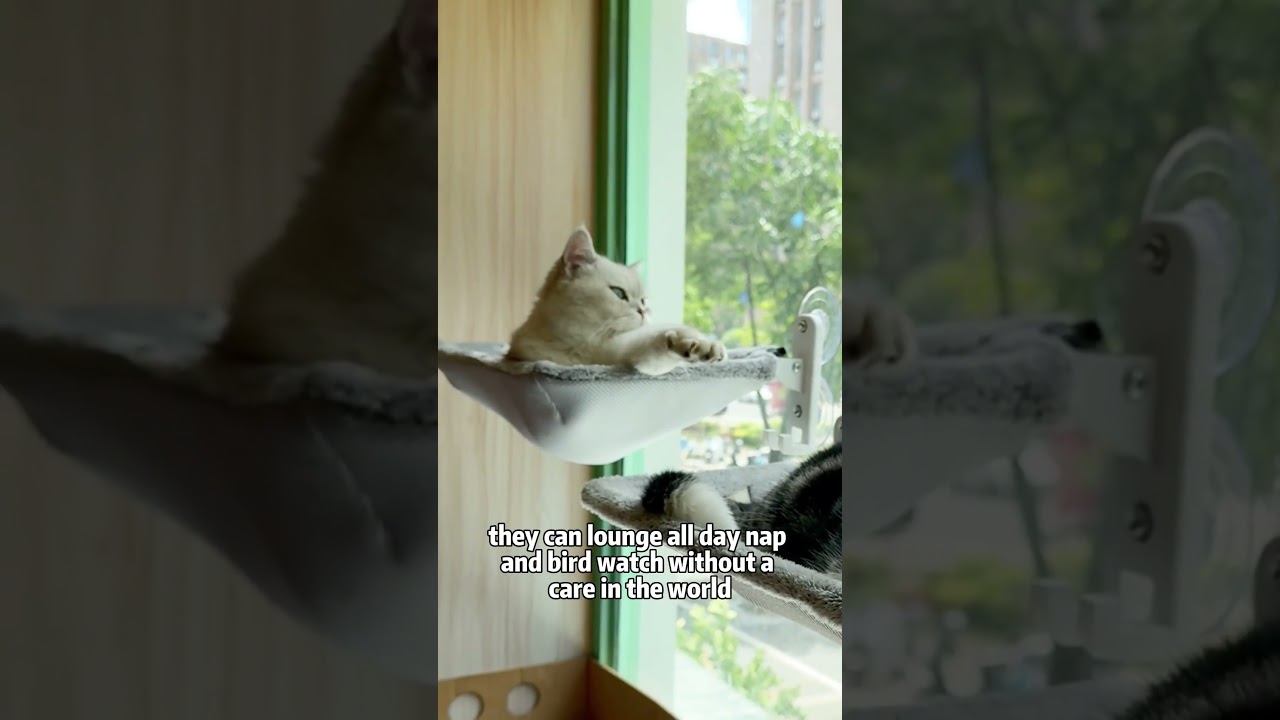 Premium night-light pillow for your cat's comfort 