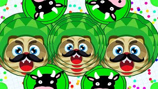 Mess Split, TrickSplit, JumboSplit, Solo PopSplit 2x, Baits, Solo CannonSplit, VanishSplit / Agario