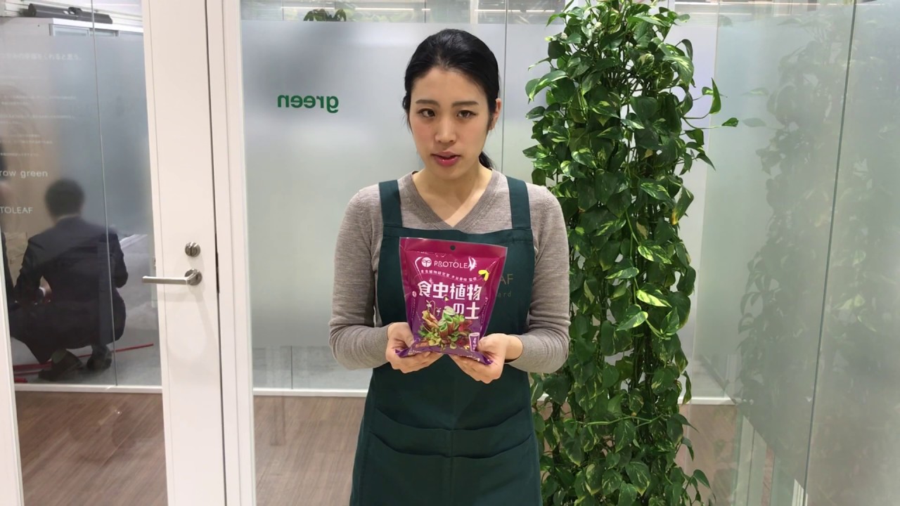 PROTOLEAF ONLINE SHOP / 食虫植物の土