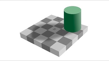 Imperfect Perception: Illusions, Gestalt Principles of Grouping, and Language Relativism