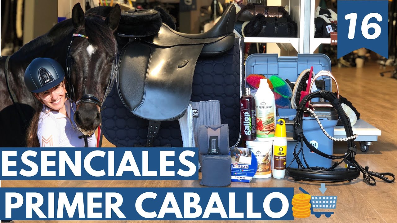 ¿Qué necesito para mi primer caballo? Compra time 🛒💸🐴