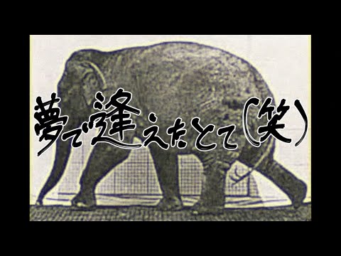 セルフィッシュガール「夢で逢えたとて(笑)」Official Video