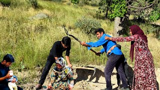 Entry without permission: Mojtaba's confrontation with the owner of the garden for building a house