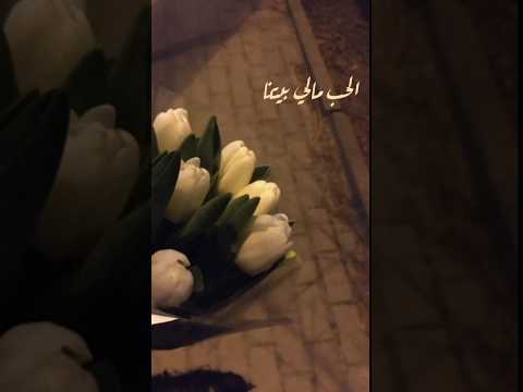 كان ياما كان الحب مالي بيتنا