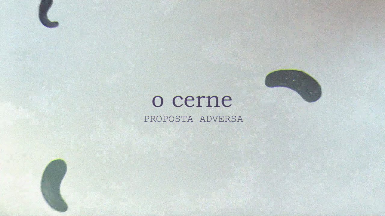 Descubra as novidades dO Cerne image