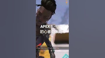 APEXキーマウ1日目