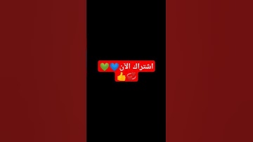 سوره البقره كامله بصوت القارئ اسلام صبحي #funny #تيك_توك