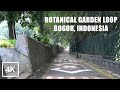 [4K] Walking around Botanical Garden Bogor, West Java, Indonesia