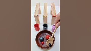 Color Sorting ASMR#asmr#funny#video#youtube#ytshorts