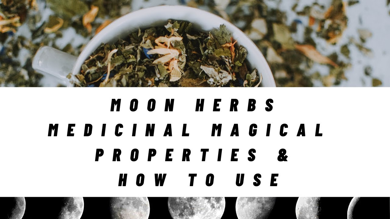 Moon Herbs | Medicinal Magical Properties | How to Use | Inspired Messages