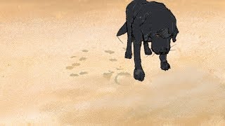 Drum in colour! (2D animation)
