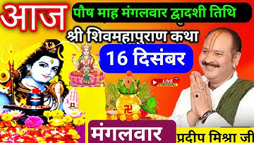 LIVE 🔴 16 दिसंबर मंगलवार द्वादशी तिथि आज 5:00 बजे सीहोर (म. प्र) शिवमहापुराण कथा प्रदीप मिश्रा♥️