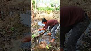 মাশাল্লাহ মধুর জিকির শুনলে মন জুড়িয়ে যায়#islamic #shorts #viral