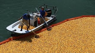 Windy City Rubber Ducky Derby Raises Awareness for Special Olympics