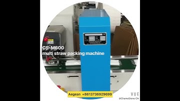 Chamestone CS-M600 multi paper straw packing machine