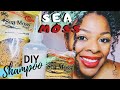 How to make SEA MOSS Shampoo For Natural Hair | QUICK AND EASY DIY