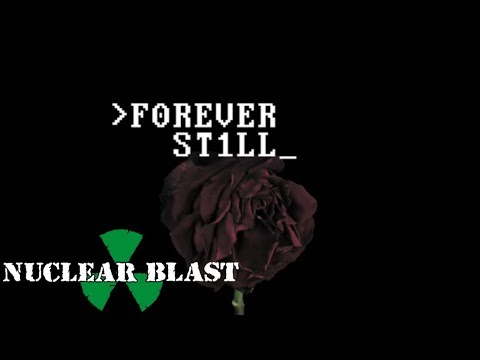 FOREVER STILL - 'Breathe In Colours' Press Quotes (OFFICIAL TRAILER)