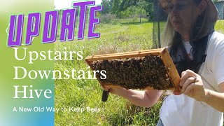 ☯️ HIVE UPDATE ~ UPSTAIRS / DOWNSTAIRS HIVE