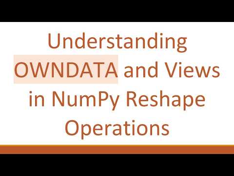 Understanding OWNDATA and Views in NumPy Reshape Operations