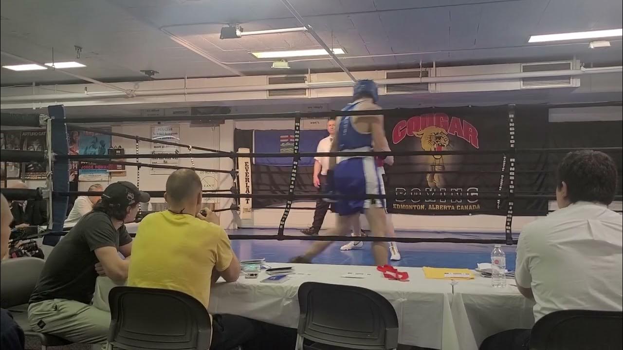 Edmonton boxing YouTube
