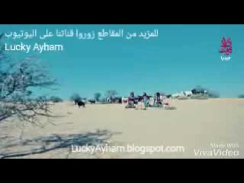راب بدوي