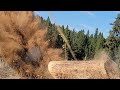 .500 Bushwhacker vs. Pine log.