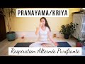 Pranayama  nadi shodhana  respiration alterne purificatrice  10 minutes