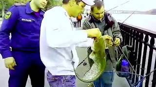 Рыбалка в Ростове с набережной