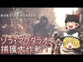 【MHW】ぼっちハンターがいくモンハンワールド！【ゆっくり実況】part10