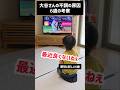 大谷翔平の不調を6歳が考察