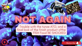 Problems with the ATO, BEST FISH FOOD EVER, BE SHOCKED