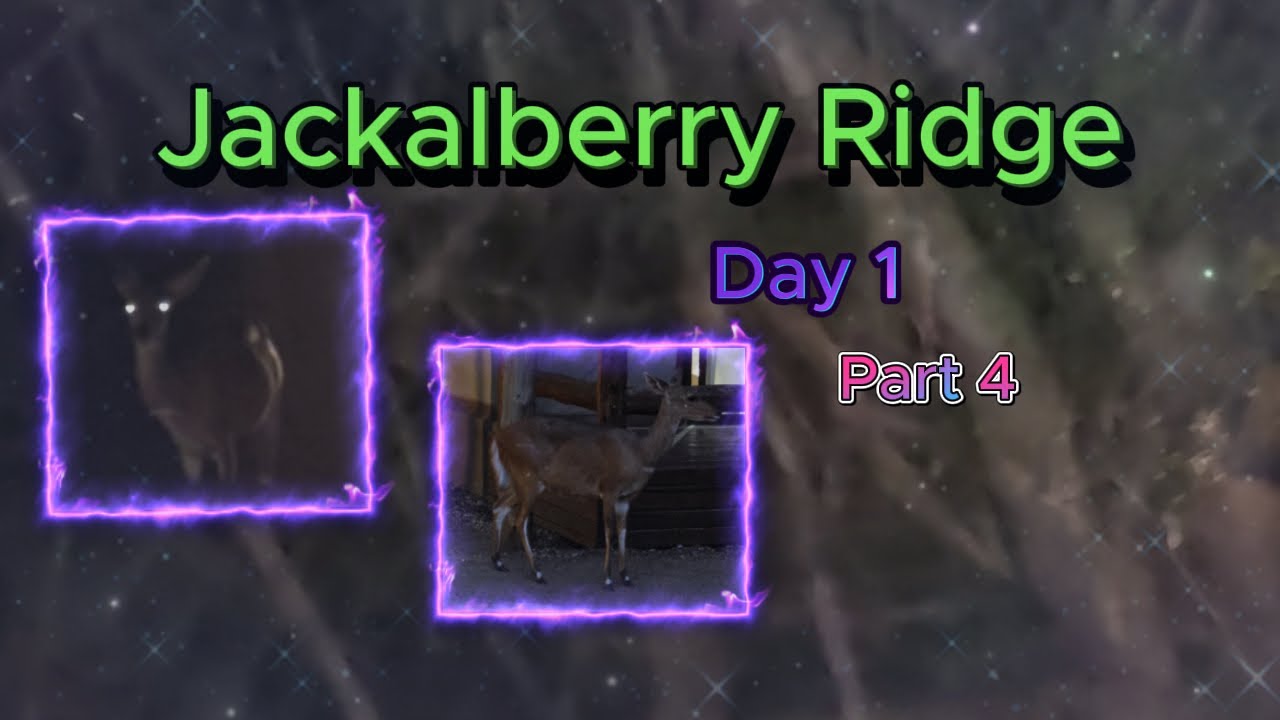 Bush baby/Nagapie/Galago | Bushbuck/Bosbok | Jackalberry Ridge Camp