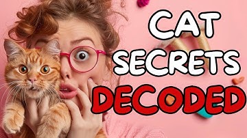 Understanding the Secret Language of Cats