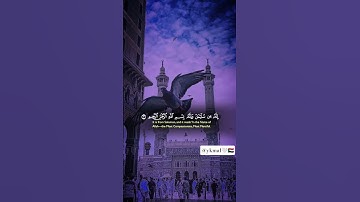 سورة النمل القارئ ياسر الدوسري