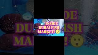 🦞 GIANT LOBSTERS & CRABS at Dubai Fish Market 🦀 #lobster #crab #seafish #youtube #shorts #yt