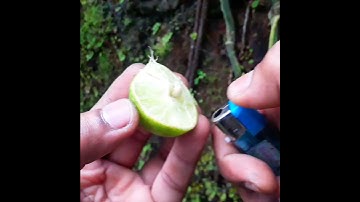 [new] lemon hw 9v battery science experiment / 7tech projects #shorts #hacks