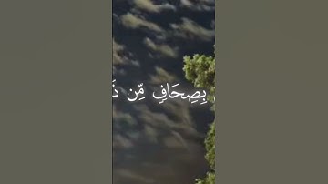 #القرآن_الكريم #اكسبلور #المصحف #duet #تلاوه_خاشعه #لايك #الرحمن