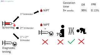 Pregnancy screening and testing options including NIPT | Merogenomics