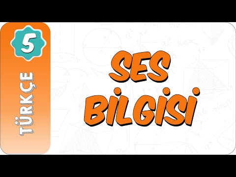 5. Sınıf Türkçe | Ses Bilgisi